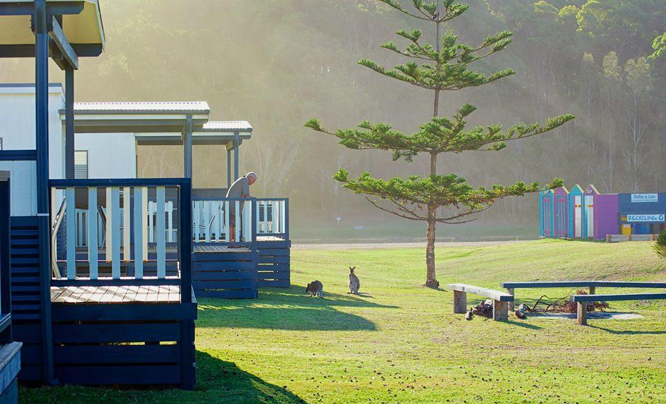 Beachcomber Holiday Park Potato Point Dış mekan fotoğraf
